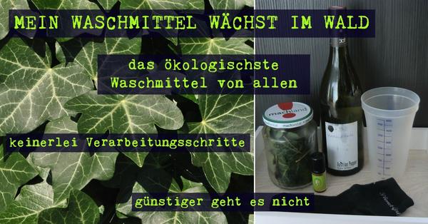 Efeuwaschmittel