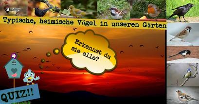 Heimische Vogelarten Quiz