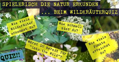 Wildkräuterquiz